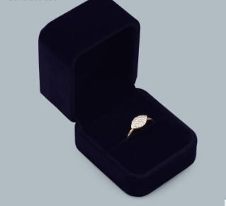Premium Velvet Jewelry Organizer