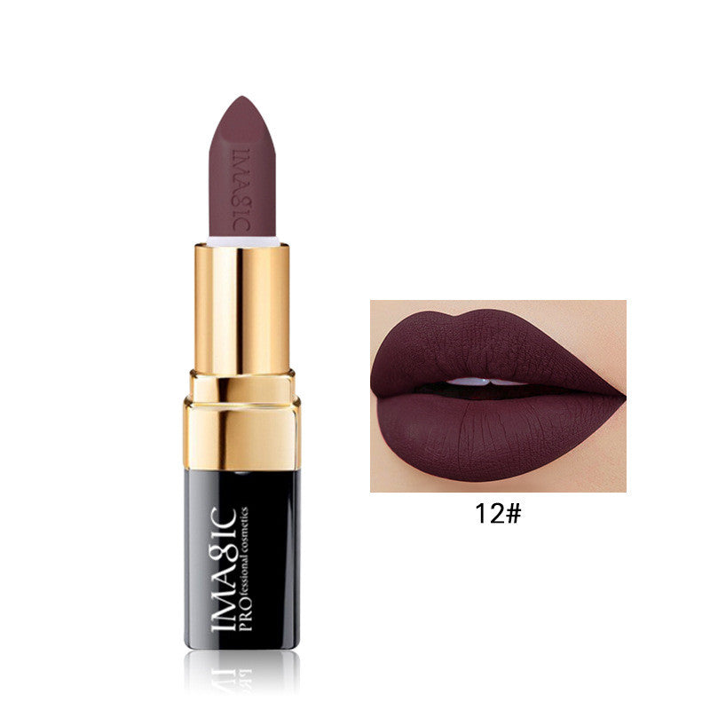 Long Lasting Matte Lip Color