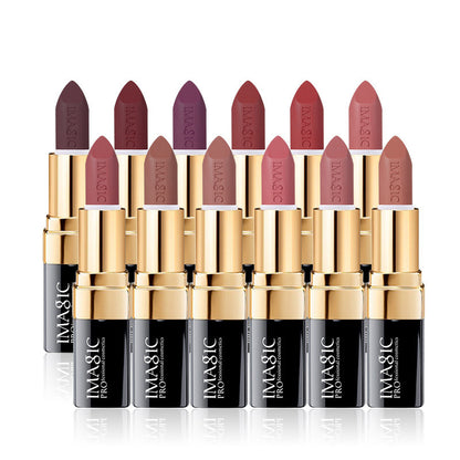 Long Lasting Matte Lip Color