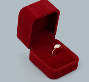 Premium Velvet Jewelry Organizer