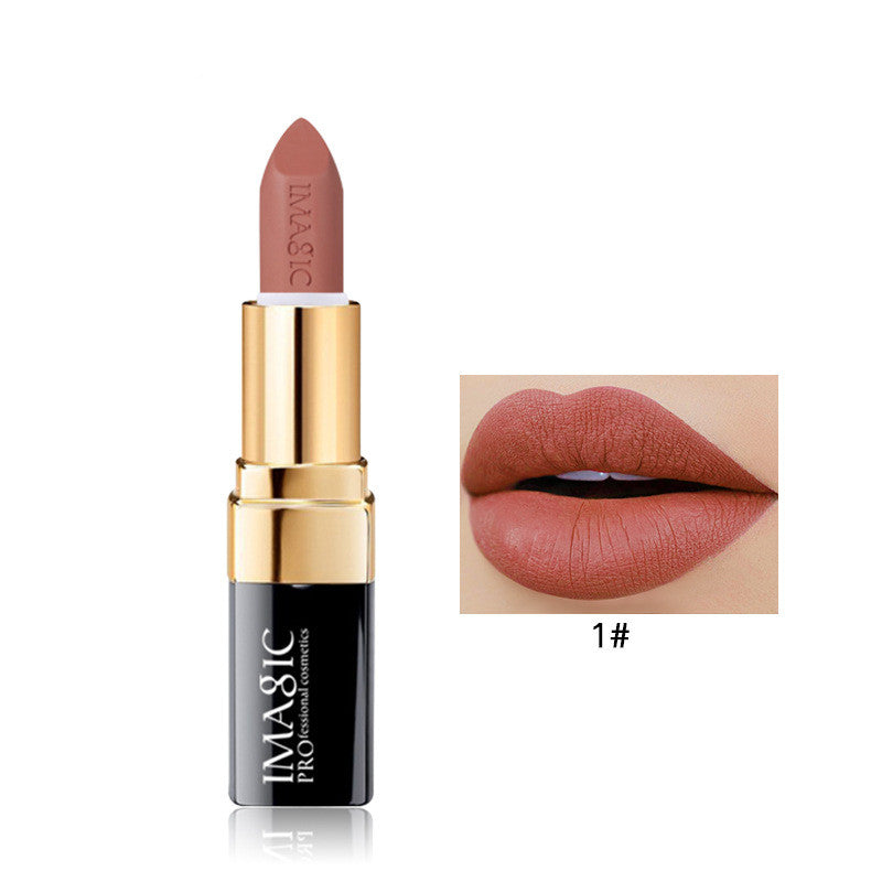 Long Lasting Matte Lip Color