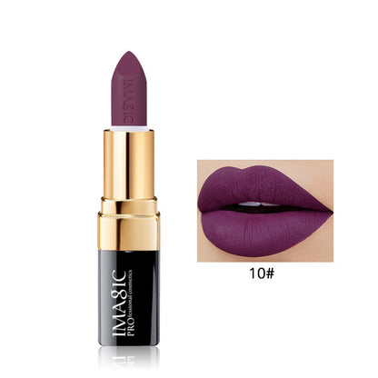 Long Lasting Matte Lip Color
