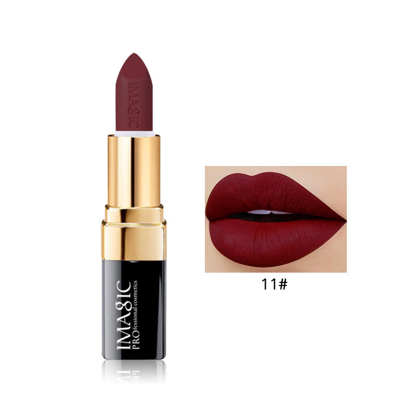 Long Lasting Matte Lip Color
