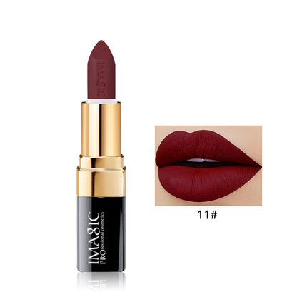 Long Lasting Matte Lip Color