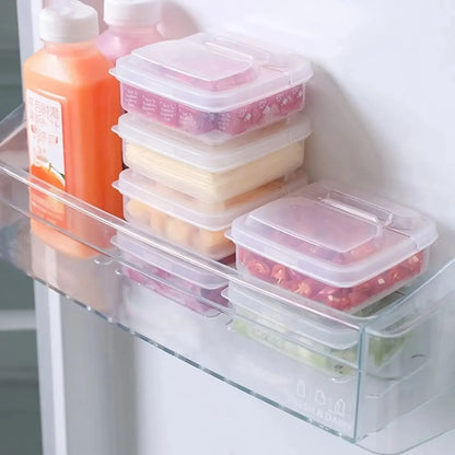Clear Cheese Storage Container – Fridge Food Keeper Box with Lid