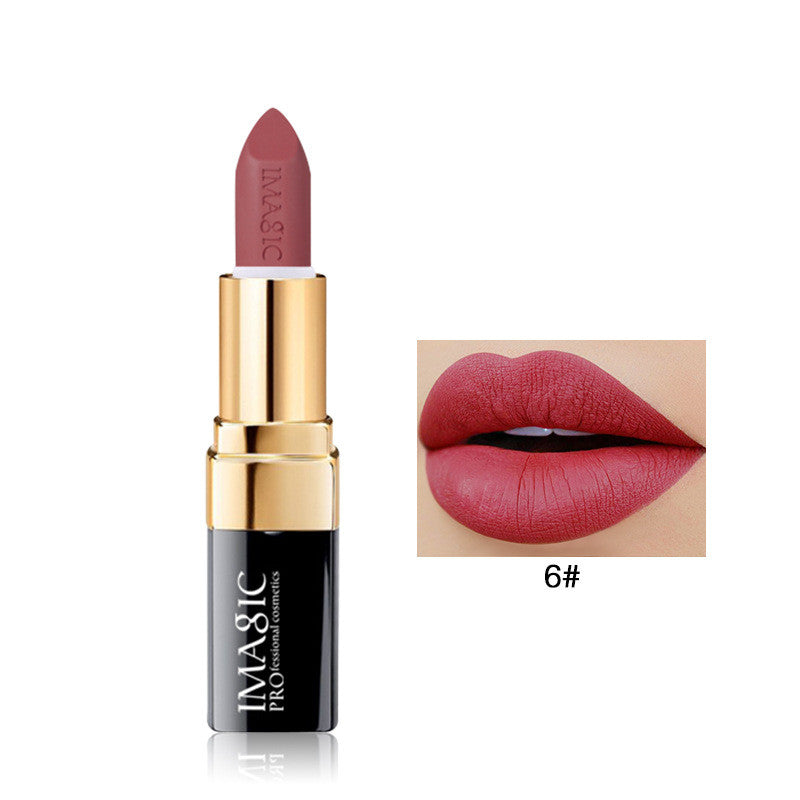 Long Lasting Matte Lip Color